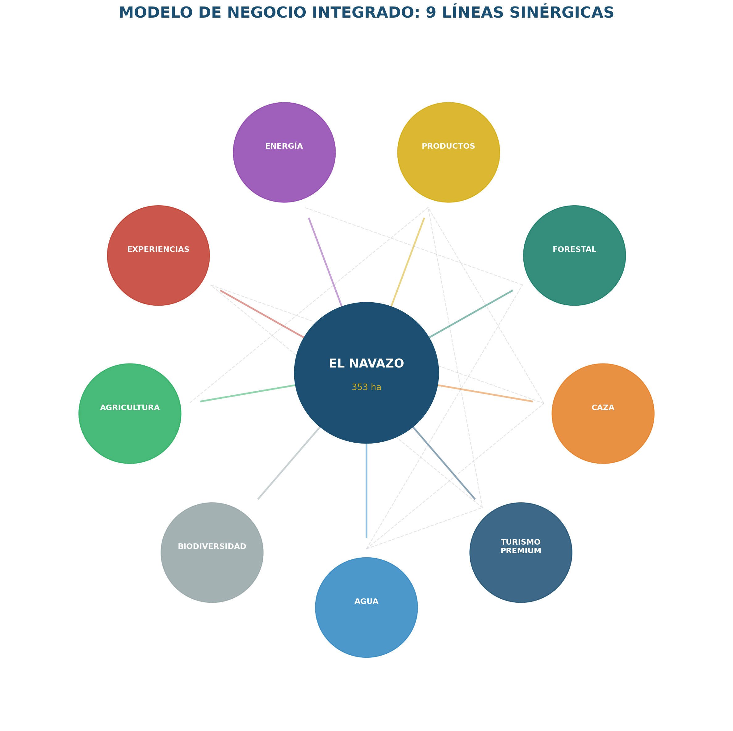 Diagrama de sinergias entre líneas de negocio